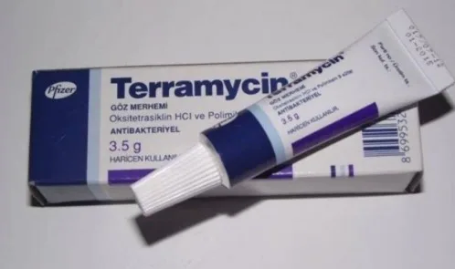 Terramycin Göz Merhemi Nedir? Terramycin Göz Pomadı Nasıl Kullanılır? Terramycin Fiyatı 2025