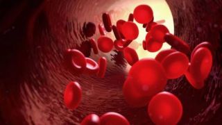 Vücudumuz Nasıl Kan Üretiyor? | Damarlarımızda gezinen kırmızı renkli hayati sıvıyı yani kanı vücudumuz nasıl üretiyor merak ettiniz mi? Yaşamı destekleyen bu değerli sıvı aslında hepimizin bildiği bir yapıda üretiliyor. Elbette, kemiklerimizde. Peki, vücudumuzda kan üretilirken hangi aşamalardan geçiyor, az veya çok kan üretiminde neler etkili oluyor? Gelin bu soruların cevaplarını birlikte inceleyelim...