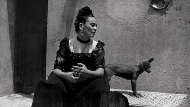 Frida Kahlo Hayatı, Onu Feminist Bir İkon Haline Getirdi