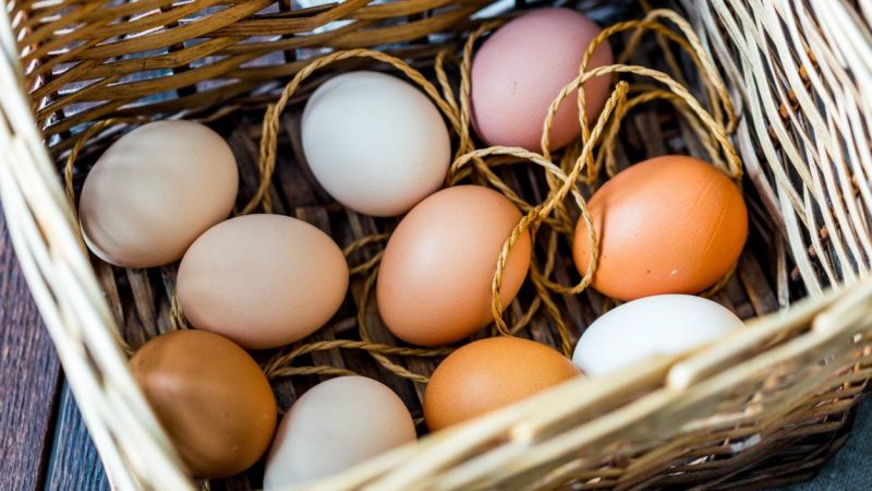 Kahverengi ve Beyaz Yumurtanın Bir Farkı Yoktur