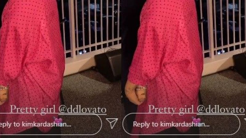 Demi Lovato ile Poz Veren Adamın Elindeki İnsan Sureti Takipçilerin Dikkatinden Kaçmadı