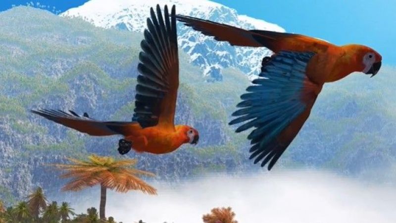 17. Cuban Macaw