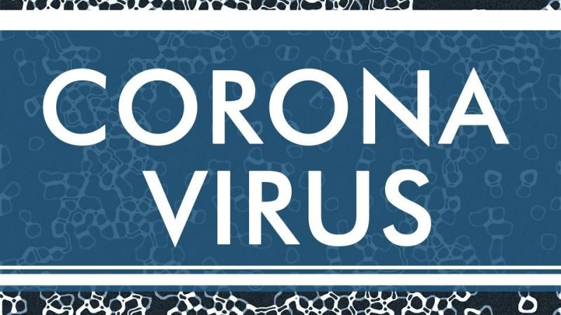 7 - Corona Virüs Salgını