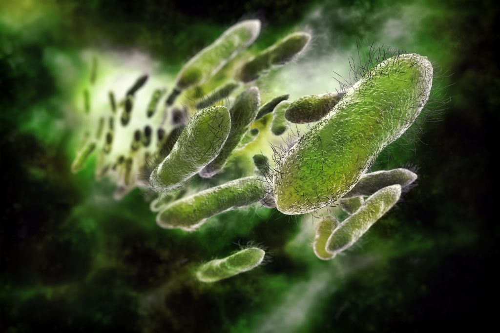Bilim Adamlarından İnanılmaz Keşif! 100 Milyon Yaşında Mikroplar Laboratuvarda Diriltildi!