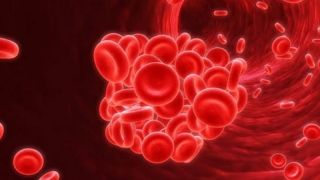 Vücudumuz Nasıl Kan Üretiyor? | Damarlarımızda gezinen kırmızı renkli hayati sıvıyı yani kanı vücudumuz nasıl üretiyor merak ettiniz mi? Yaşamı destekleyen bu değerli sıvı aslında hepimizin bildiği bir yapıda üretiliyor. Elbette, kemiklerimizde. Peki, vücudumuzda kan üretilirken hangi aşamalardan geçiyor, az veya çok kan üretiminde neler etkili oluyor? Gelin bu soruların cevaplarını birlikte inceleyelim...
