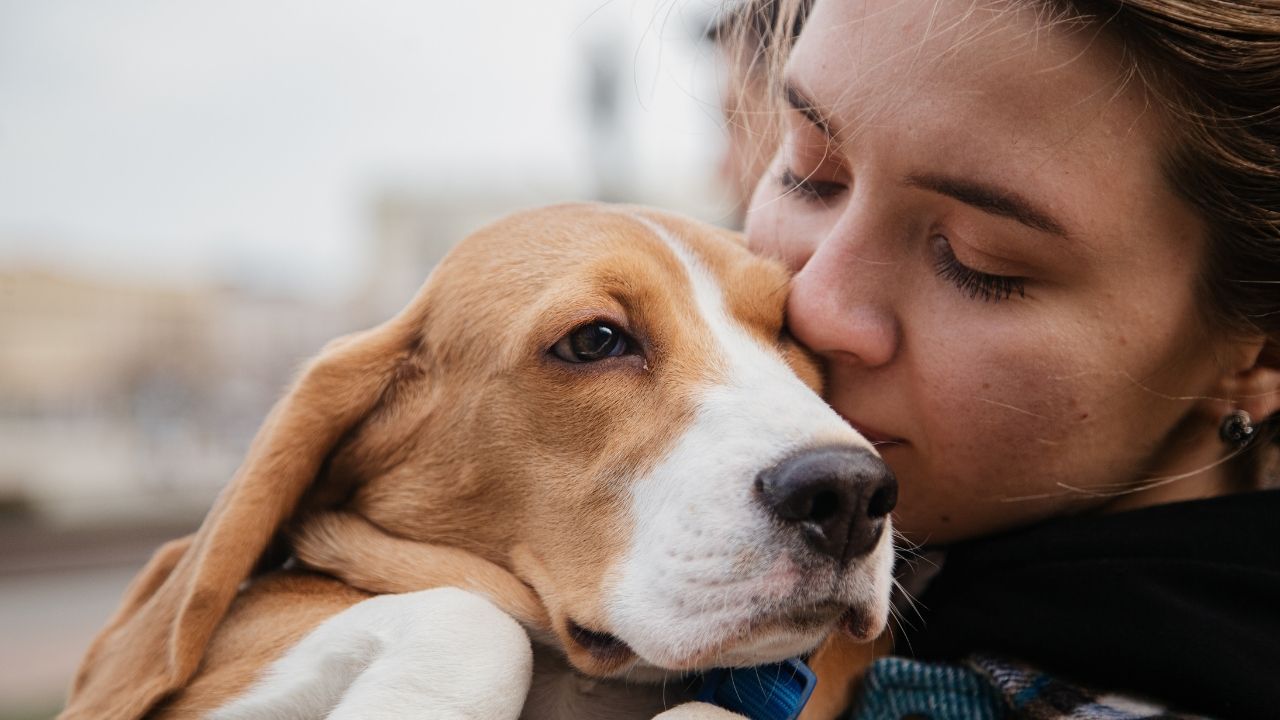 deprem-cantasinda-olmasi-gerekenler 