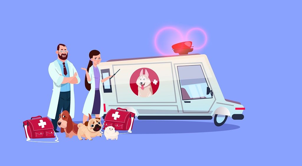 Hayvan Ambulansı Numarası Kaçtır? Hayvan Ambulansı Ne İşe Yarar?