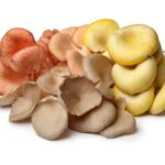 oyster-mushrooms-pkydey5-1584727382.jpg