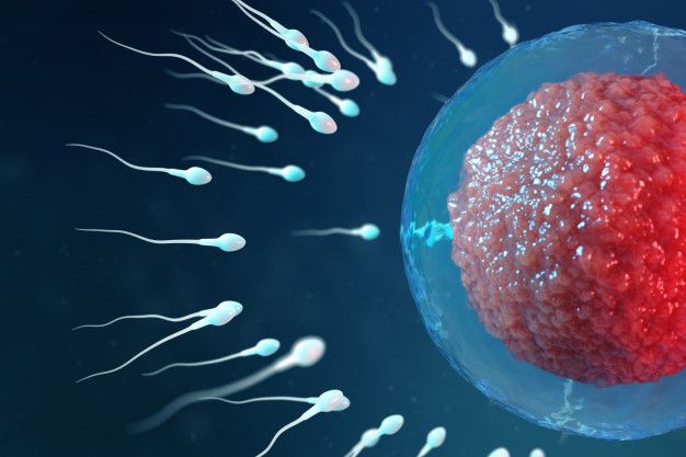 Sperm Testi Hangi Bölümde Yapılır? Sperm Testi Nedir? Sperm Sayısı Arttıran Yiyecekler Nelerdir?
