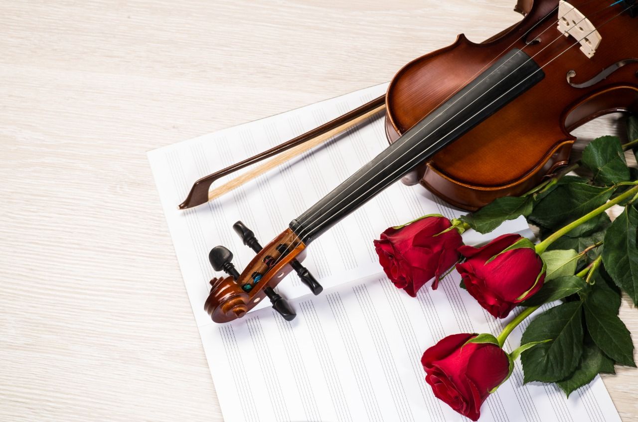 violin-rose-and-music-books-p8ye3wy-1581049464.jpg
