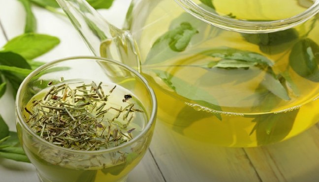 Yeşil Çay Nasıl Demlenir French Press | Evde Yeşil Çay Nasıl Kurutulur