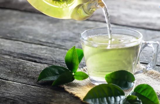 Yeşil Çay Nasıl Demlenir French Press | Evde Yeşil Çay Nasıl Kurutulur