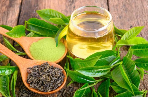 Yeşil Çay Nasıl Demlenir French Press | Evde Yeşil Çay Nasıl Kurutulur