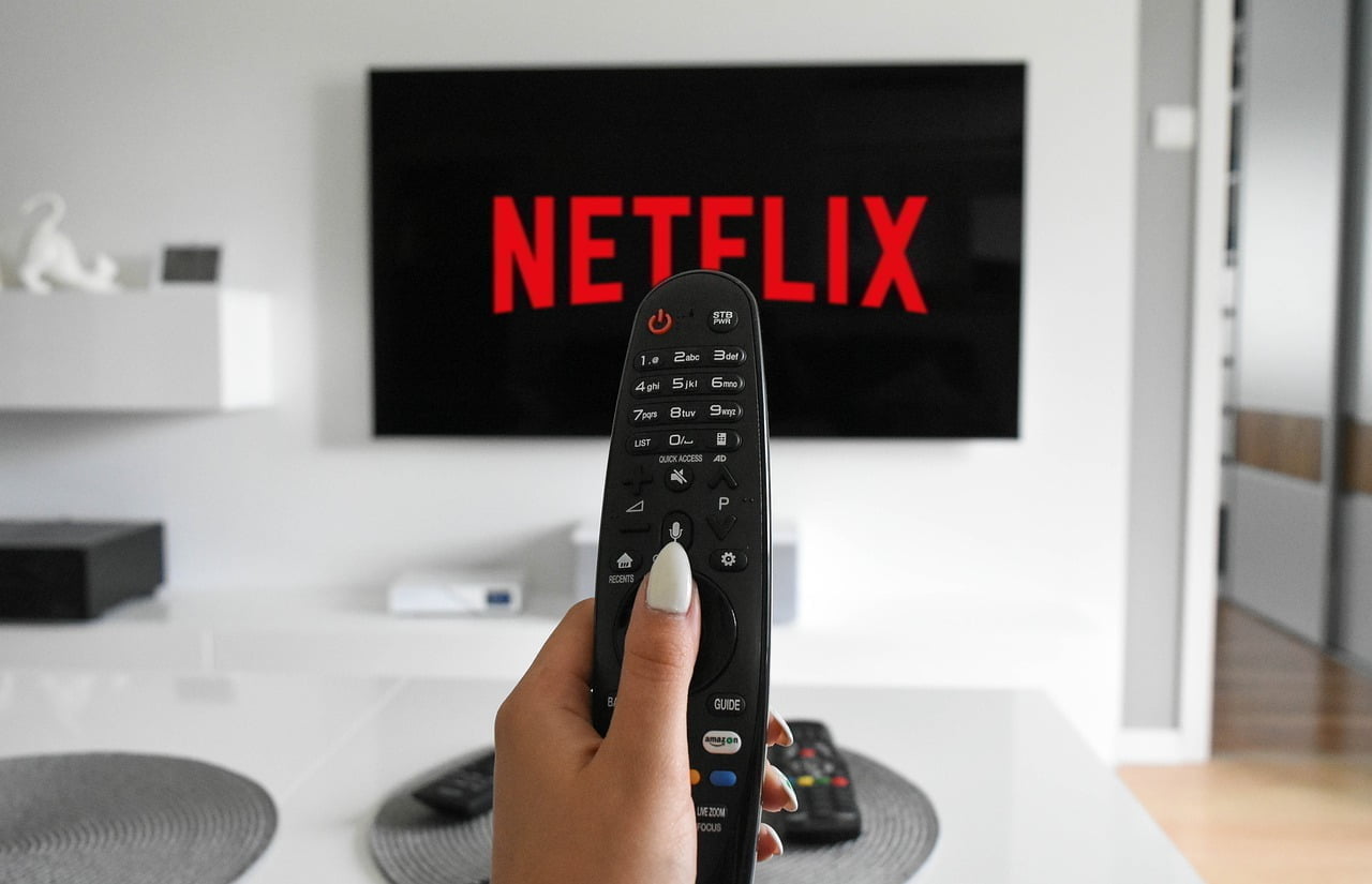 Netflix Türk Dizileri |2022 Netflix Türk Dizileri Listesi