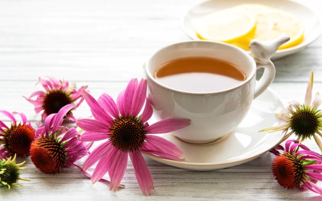 Ekinezya Çayı Ne İşe Yarar? Ekinezya Bitki Çayı Neye İyi Gelir?