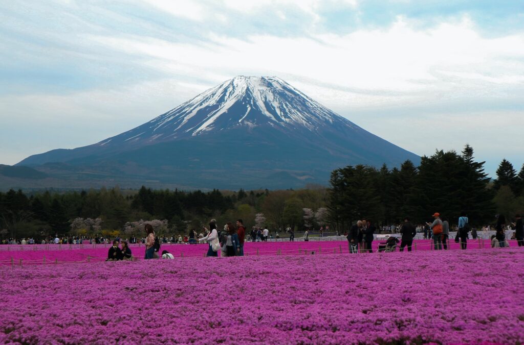 Japonya'nın Doğal Simgesi Kutsal Fuji Dağı ve Fuji Dağı’nın Benzersiz Efsanesi