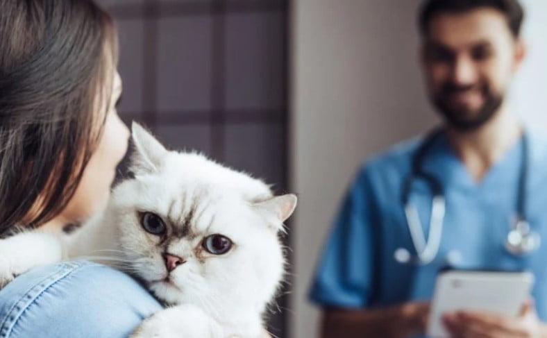 Evcil Hayvanınız İçin Veteriner Kliniği Seçerken Dikkat Etmeniz Gerekenler Nelerdir?