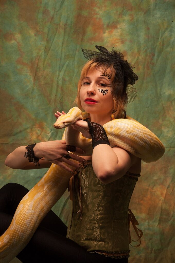 Albino Yılan snake, performance, albino