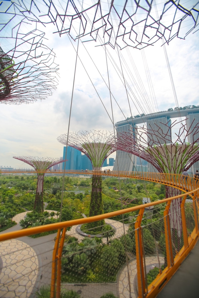 Singapur Botanik Bahçeleri Bölümleri