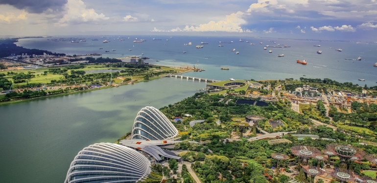 Singapur Botanik Bahçeleri: Asya'nın Cennet Köşesi!