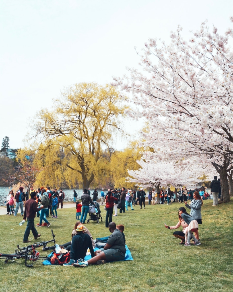 a group of people in a park