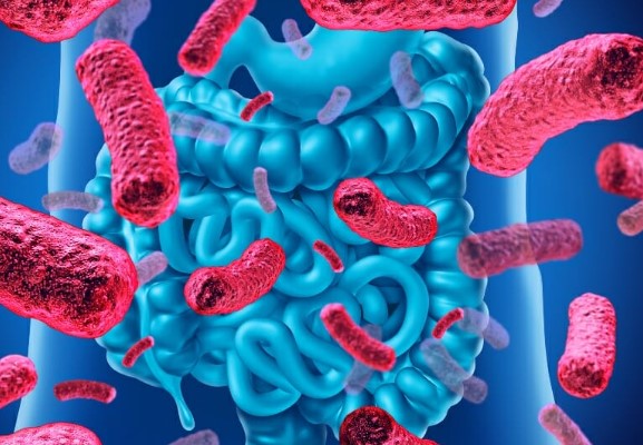 İcolon Probiyotik Nasıl Kullanılır | İcolon Probiyotik Kür Faydaları Nelerdir?