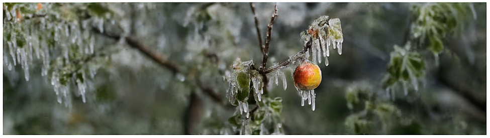 İklim Değişikliği Çiftçiyi Zorluyor: Tek Güvence Tarım Sigortaları