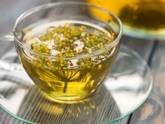 Cinsel Gücü Artıran Bitki Çayı Önerileri Neler? Cinselliği En Hızlı Ne Artırır? Cinsel Gücü Artıran Bitki Çayı Önerileri Neler? Cinselliği En Hızlı Ne Artırır? Cinsel Gücü Artıran Bitki Çayı Önerileri Neler? Cinselliği En Hızlı Ne Artırır? 