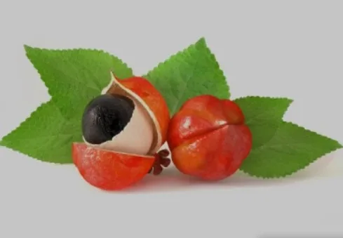 Cinsel Gücü Artıran Bitki Çayı Önerileri Neler? Cinselliği En Hızlı Ne Artırır? 