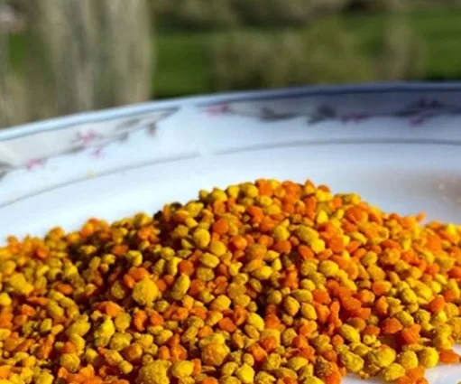 Cinsel Gücü Artıran Bitki Çayı Önerileri Neler? Cinselliği En Hızlı Ne Artırır? 