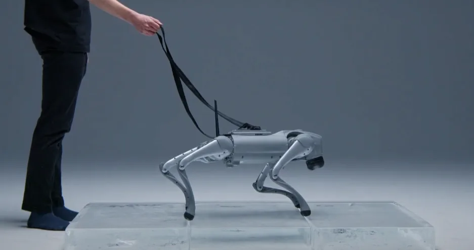 INTUICELL Robot Köpek: Yapay Zeka ile Donatılmış Geleceğin Akıllı Asistanı