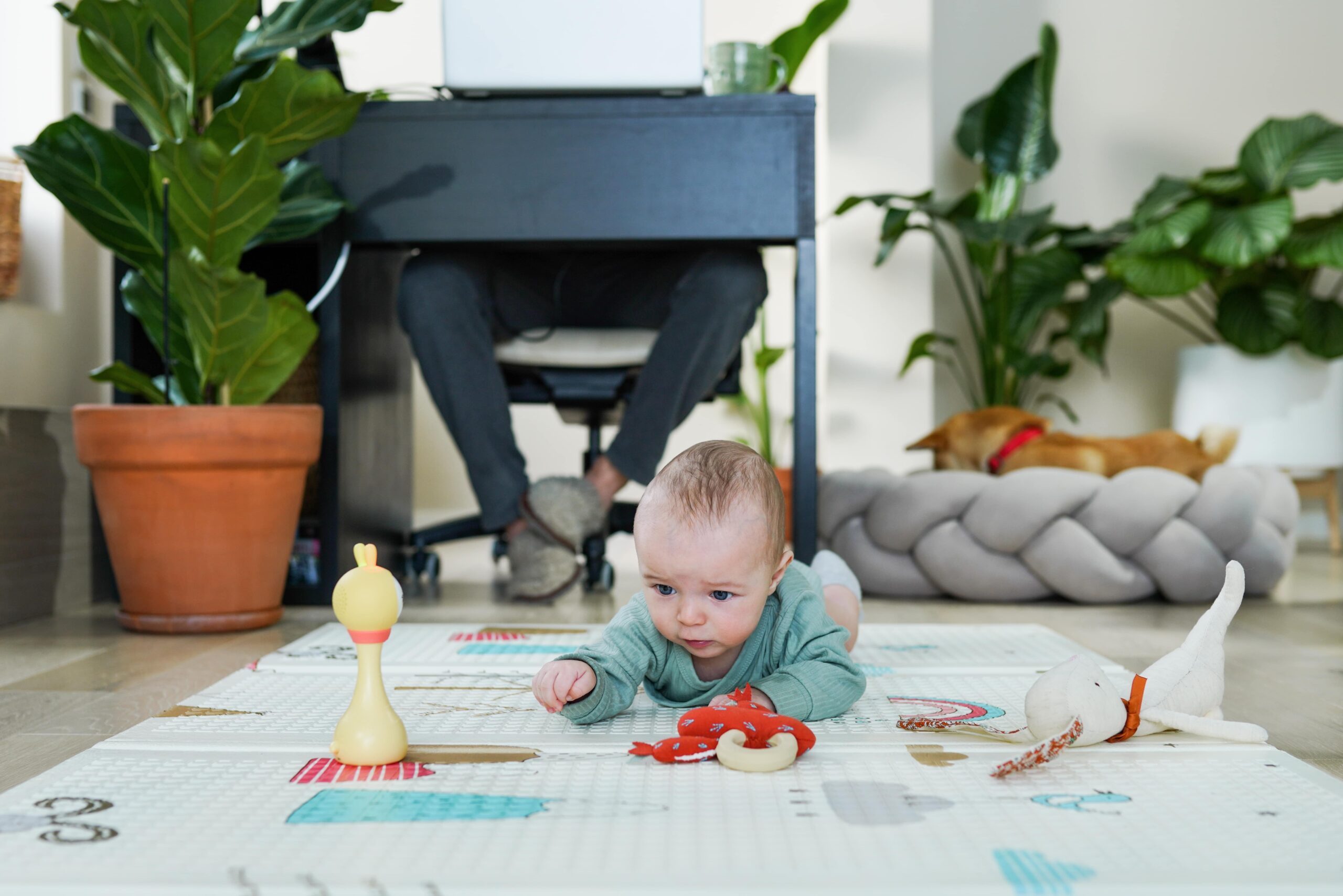 Yaş Gruplarına Göre En Güzel ve Eğitici Oyuncaklar