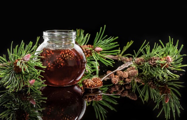 Kozalak Şurubu Faydaları Neler | Kozalak Şurubu Hangi Hastalıklara İyi Gelir? 