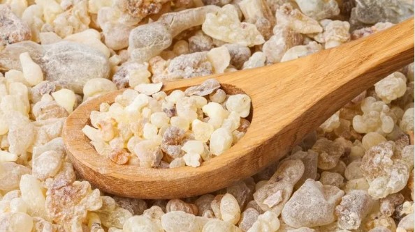 Sandaloz Sakızı Nedir | Sandaloz Sakızının Neye Faydası Var?  