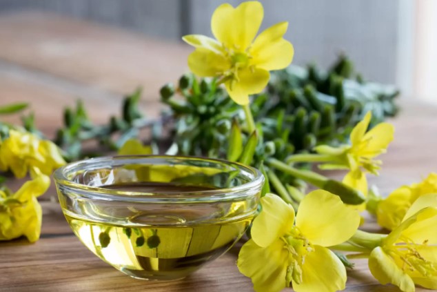 Çuha Çiçeği Yağı Ne İşe Yarar | Çuha Çiçeği Yağı Hangi Hastalıklara İyi Gelir? 