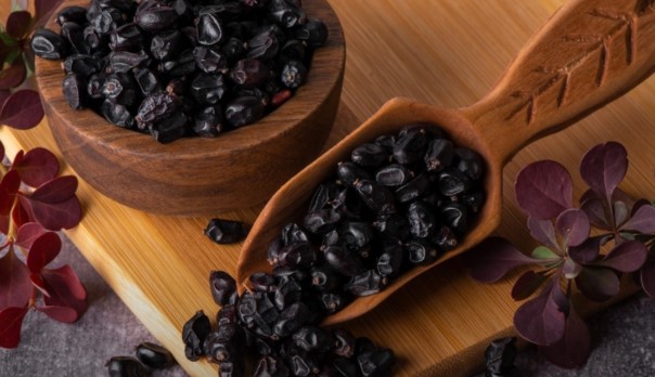 Karamuk Meyvesi Ne İşe Yarar | Karamuk Bitkisinin Diğer Adı Nedir? 