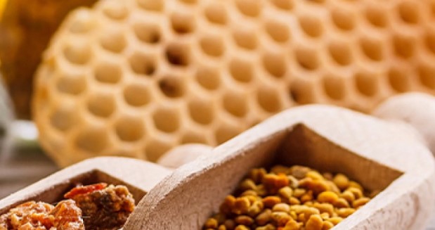 Propolis Nedir Ne İşe Yarar | Propolis Kanser Tedavisinde Kullanılmalı mı? 