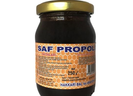 Propolis Nedir Ne İşe Yarar | Propolis Kanser Tedavisinde Kullanılmalı mı? 