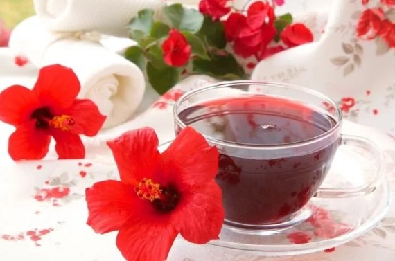 Hibiskus Çayı Zayıflatır mı | Hibiskus Çayının Ne Gibi Faydaları Var? 
