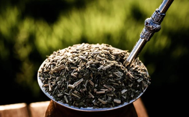 Mate Çayı Neye İyi Gelir | Mate Çayı Ne Zaman İçilmeli? Mate Çayı Nasıl Demlenir?
