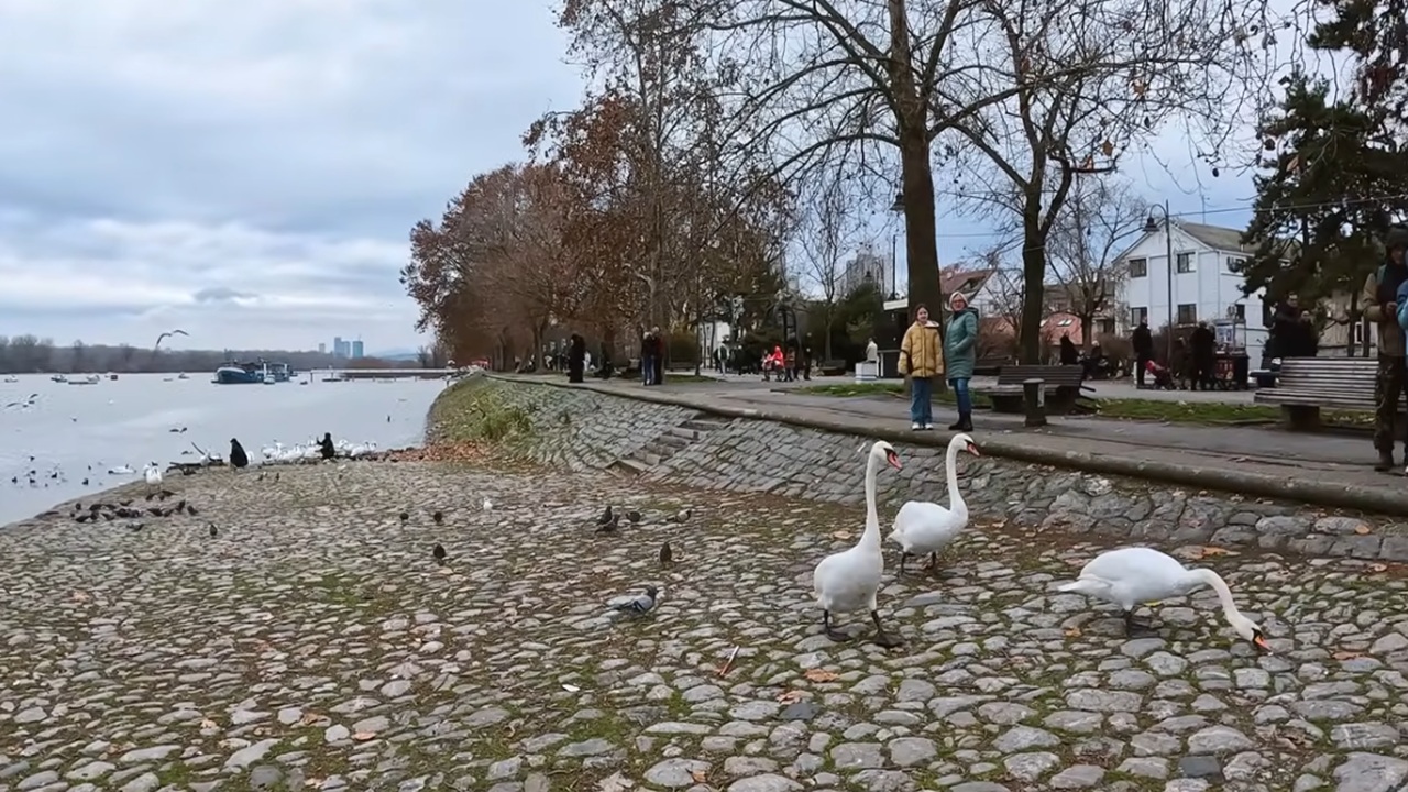 belgrad-gezi-rehberi