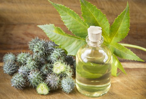 Hint Yağı Faydaları Neler | Hint Yağı Nereye Sürülür? Yüzüme Hint Yağı Sürersem Ne Olur? 