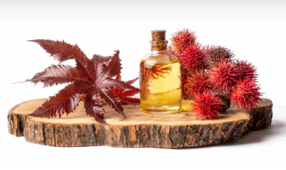 Hint Yağı Faydaları Neler | Hint Yağı Nereye Sürülür? Yüzüme Hint Yağı Sürersem Ne Olur? 