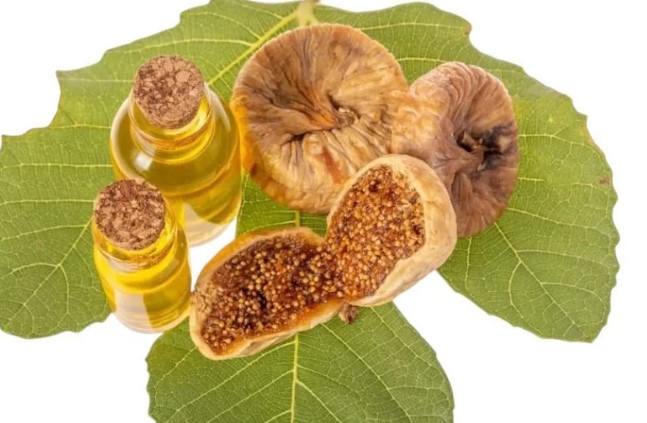 İncir Çekirdeği Yağı Ne İşe Yarar | İncir Çekirdeği Yağı Yüze Faydaları Neler? 