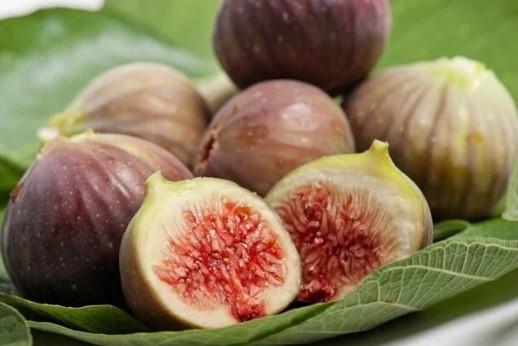 İncir Çekirdeği Yağı Ne İşe Yarar | İncir Çekirdeği Yağı Yüze Faydaları Neler? 