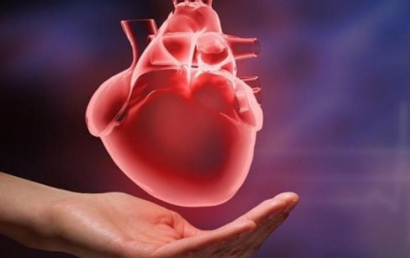 Kalp Kası Kalınlaşması Neden Olur | Kalp Kalınlaşması Tehlikeli midir?