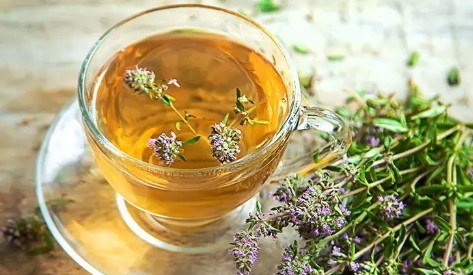 Kekik Çayı Faydaları Neler | Kekik Çayı Zayıflatır mı? Kekik Çayı Şekeri Düşürür mü?