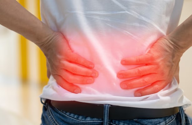 Böbrek İltihabı Belirtileri Nelerdir? Böbrek İltihabı Nasıl Geçer?