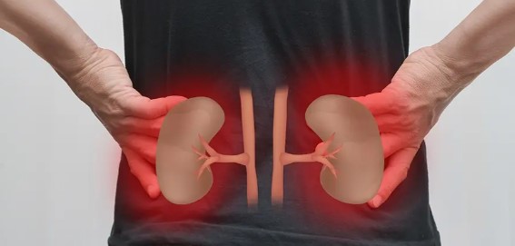 Böbrek İltihabı Belirtileri Nelerdir? Böbrek İltihabı Nasıl Geçer?