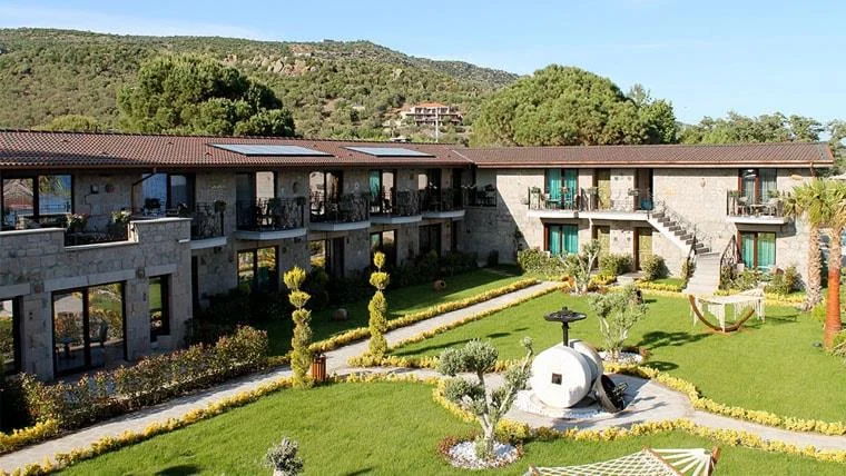 Parafon Ne İşe Yarar | Parafon Ne İçin Kullanılır?